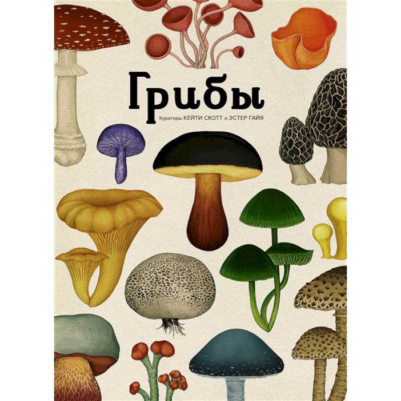 Фото Грибы