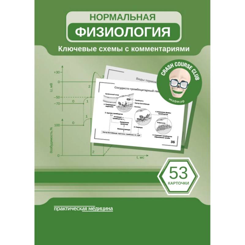 Фото Нормальная физиология. Карточки (53 штуки). Ключ схемы