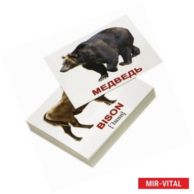 Фото Комплект мини-карточек 'Wild animals/Дикие животные' (40 штук)