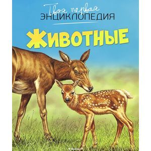 Фото Животные