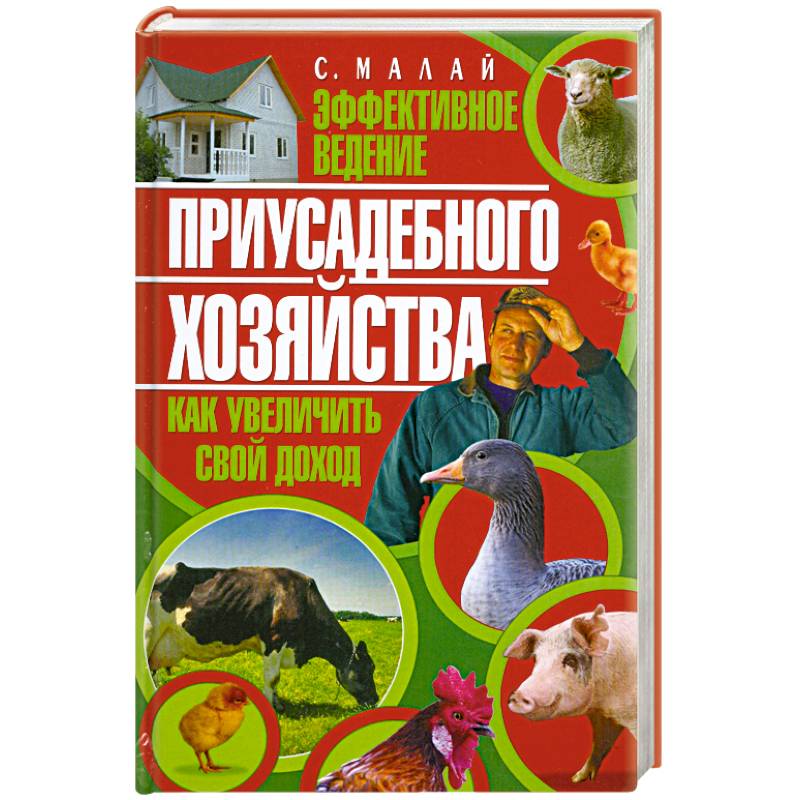 Фото Эффективное ведение приусадебного хозяйства
