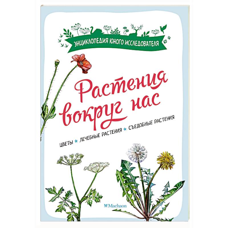 Фото Растения вокруг нас