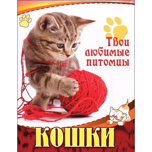 Фото Кошки