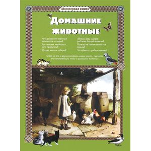 Фото Домашние животные