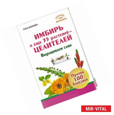 Фото Имбирь и еще 35 растений-целителей. Выращиваем сами. Против 100 болезней