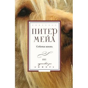 Фото Собачья жизнь