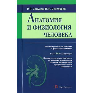 Фото Анатомия и физиология человека