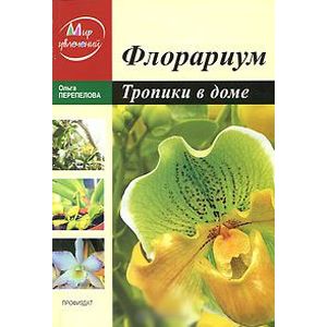 Фото Флорариум: Тропические растения в доме