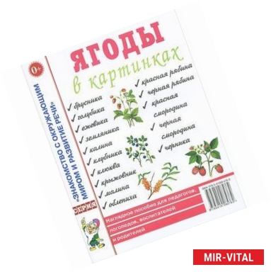 Фото Ягоды в картинках. Наглядное пособие для педагогов, логопедов, воспитателей и родителей