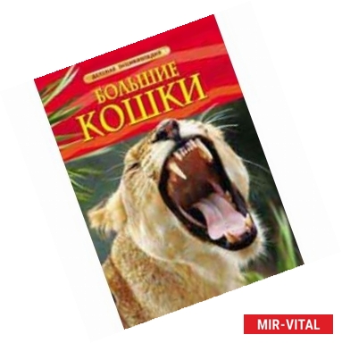 Фото Большие кошки