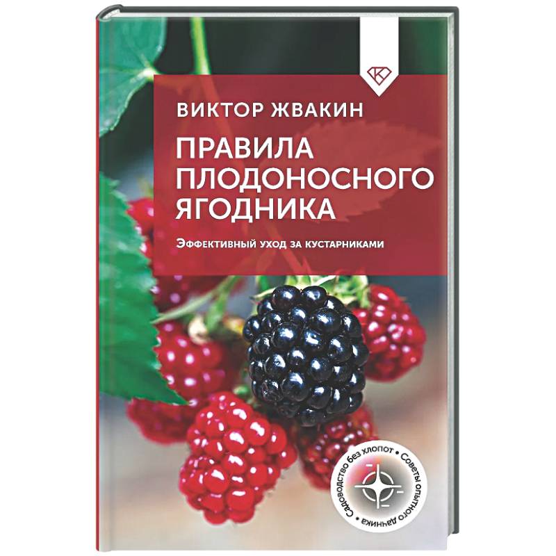 Фото Правила плодоносного ягодника. Эффективный уход за кустарниками