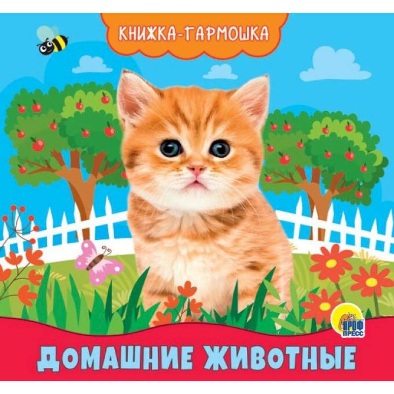 Фото Книжка-гармошка. Домашние животные