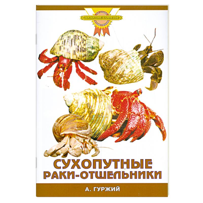 Фото Сухопутные раки-отшельники