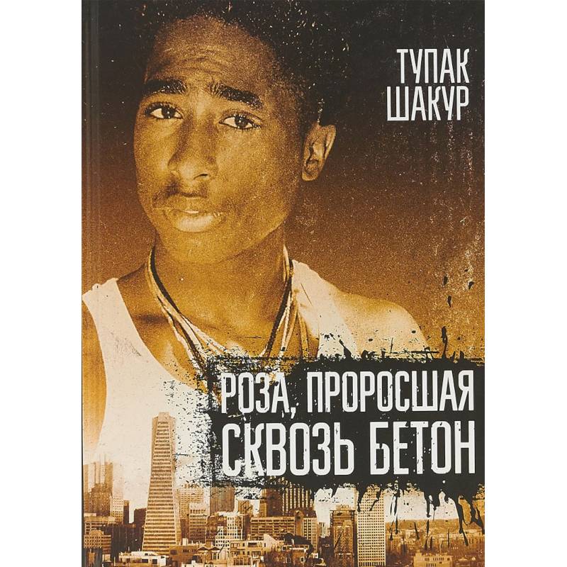 Фото Роза, проросшая сквозь бетон