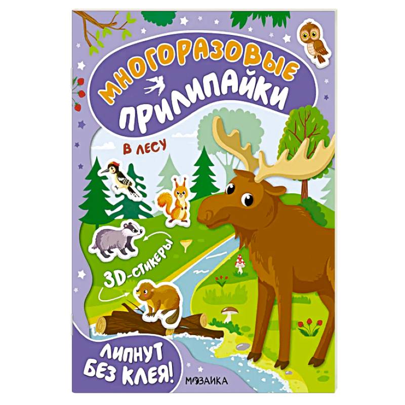 Фото В лесу