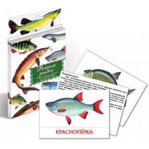 Фото Дидактические карточки. Речные рыбы