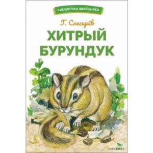 Фото Хитрый бурундук