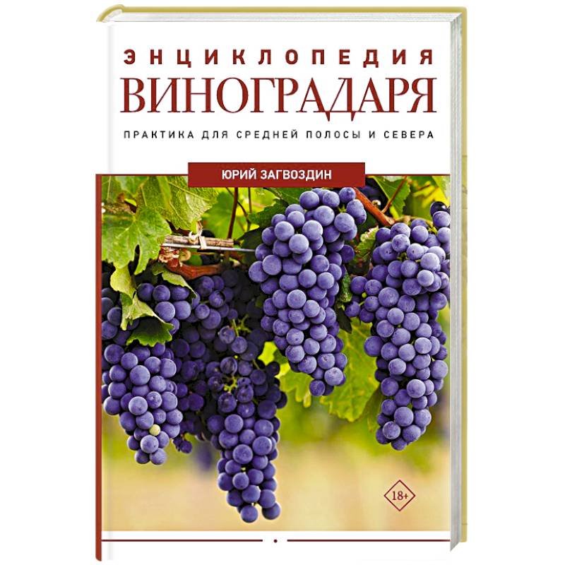 Фото Энциклопедия виноградаря