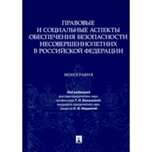 Фото Правовые и социальные аспекты обеспечения безопасности несовершеннолетних в Российской Федерации