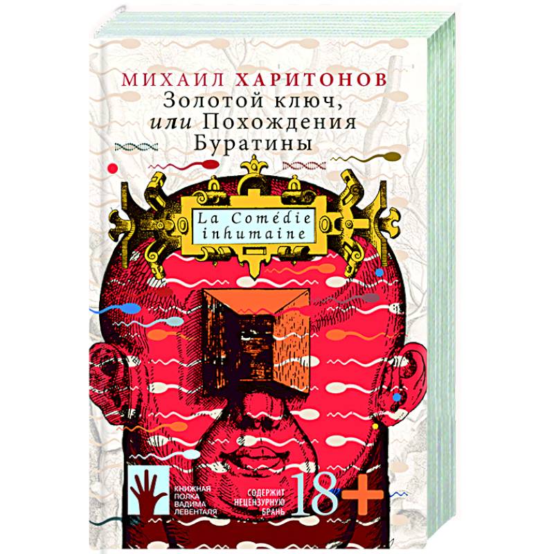 Фото Золотой ключ, или Похождения Буратины