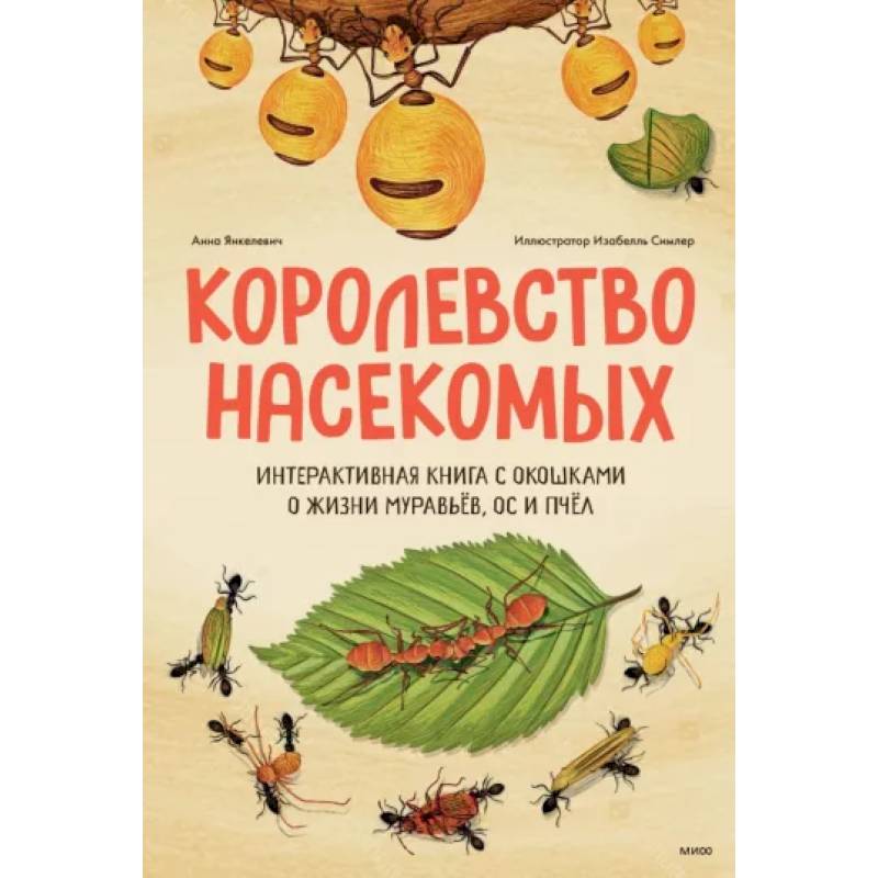 Фото Королевство насекомых. Интерактивная книга с окошками о жизни муравьёв, ос и пчёл