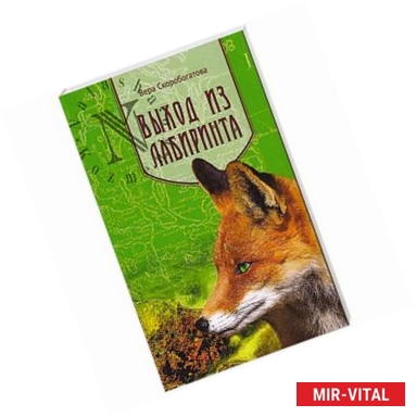 Фото Выход из лабиринта