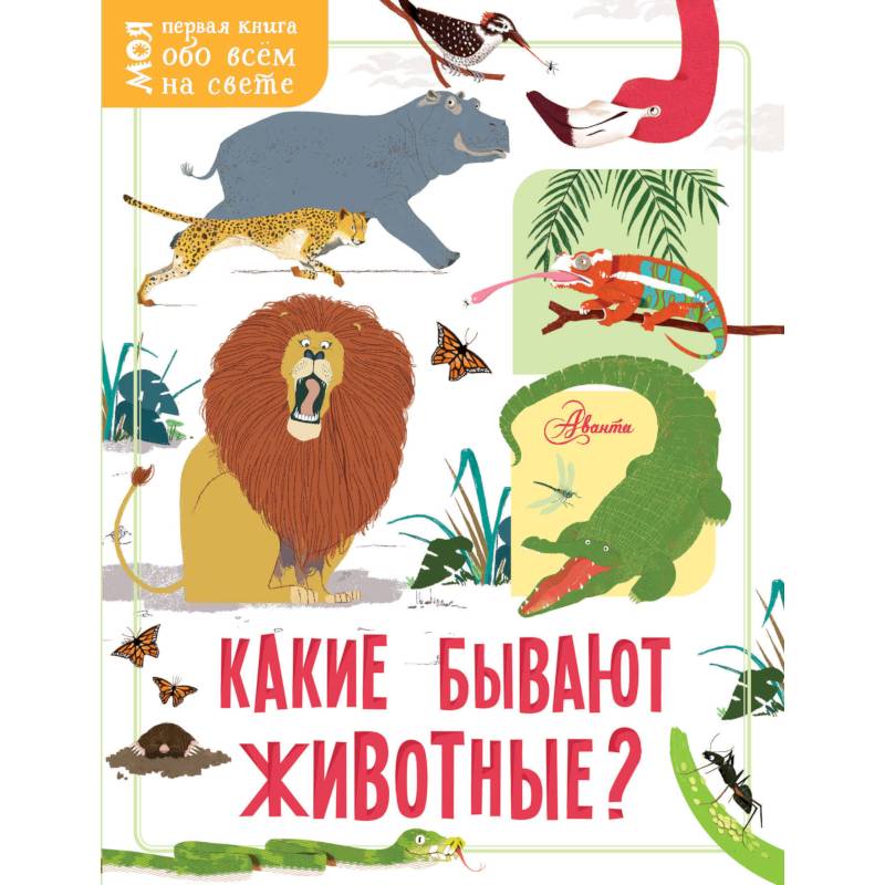 Фото Какие бывают животные?