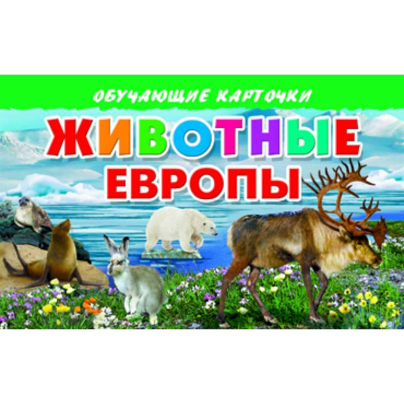 Фото Карточки. Животные Европы