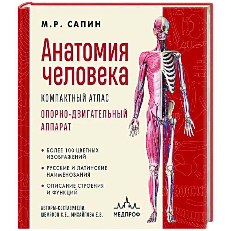 Фото Анатомия человека. Компактный атлас. Опорно-двигательный аппарат