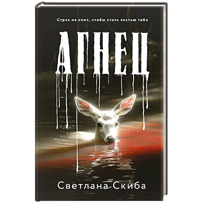 Фото Агнец