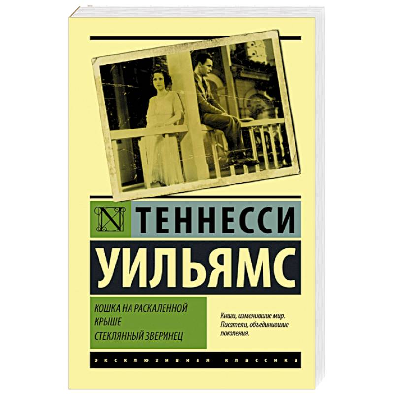 Фото Кошка на раскаленной крыше. Стеклянный зверинец