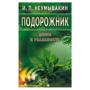 Фото Подорожник. Мифы и реальность