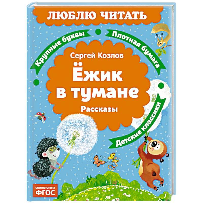 Фото Ежик в тумане