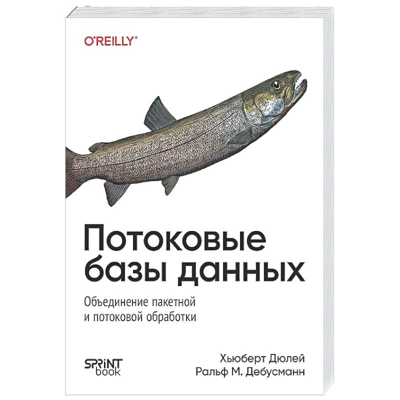 Фото Потоковые базы данных