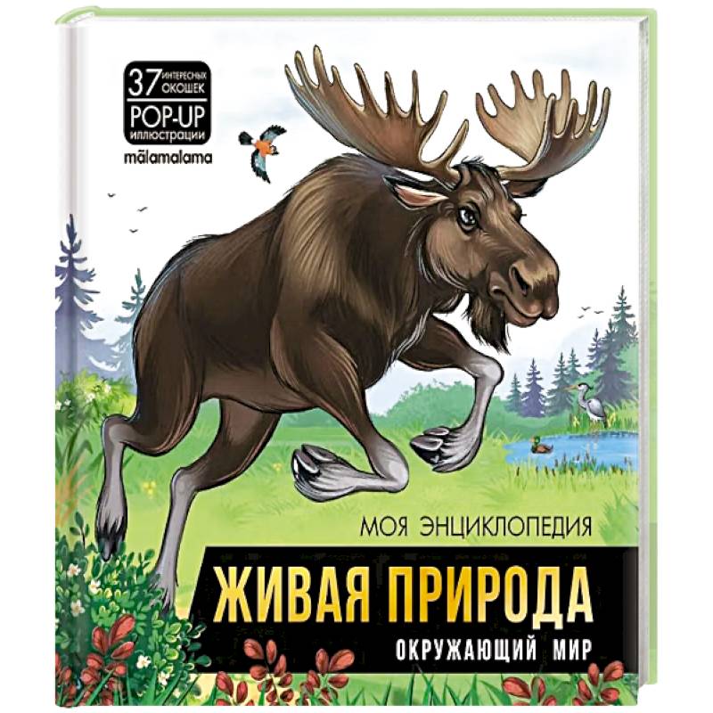 Фото Живая природа. Окружающий мир: книжка-панорамка