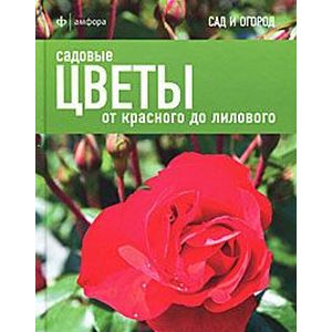 Фото Садовые цветы. От красного до лилового