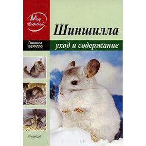 Фото Шиншилла: уход и содержание в домашних условиях