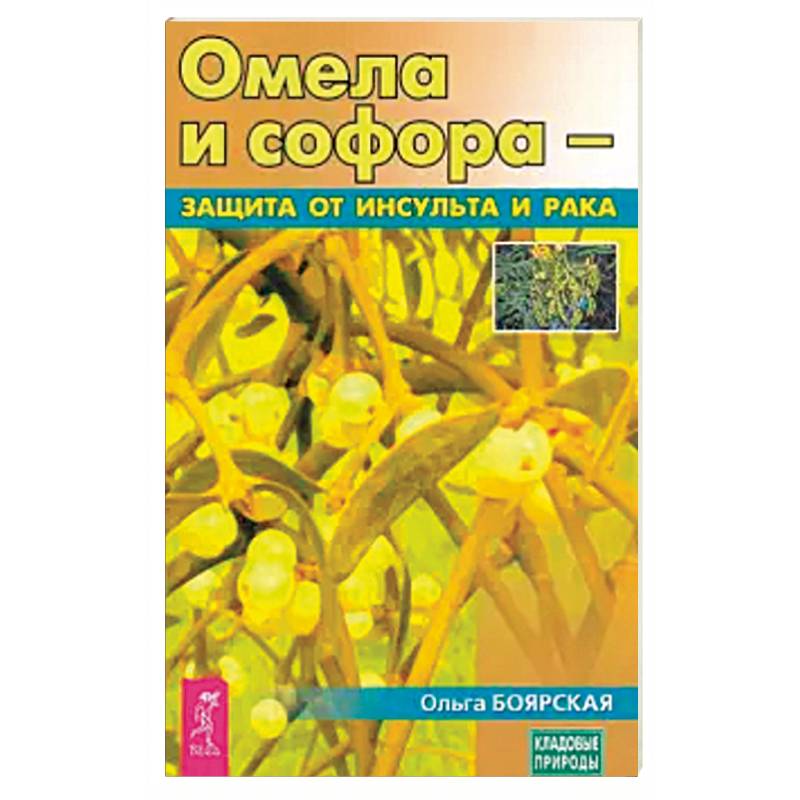 Фото Омела и софора - защита от инсульта и рака (3690)