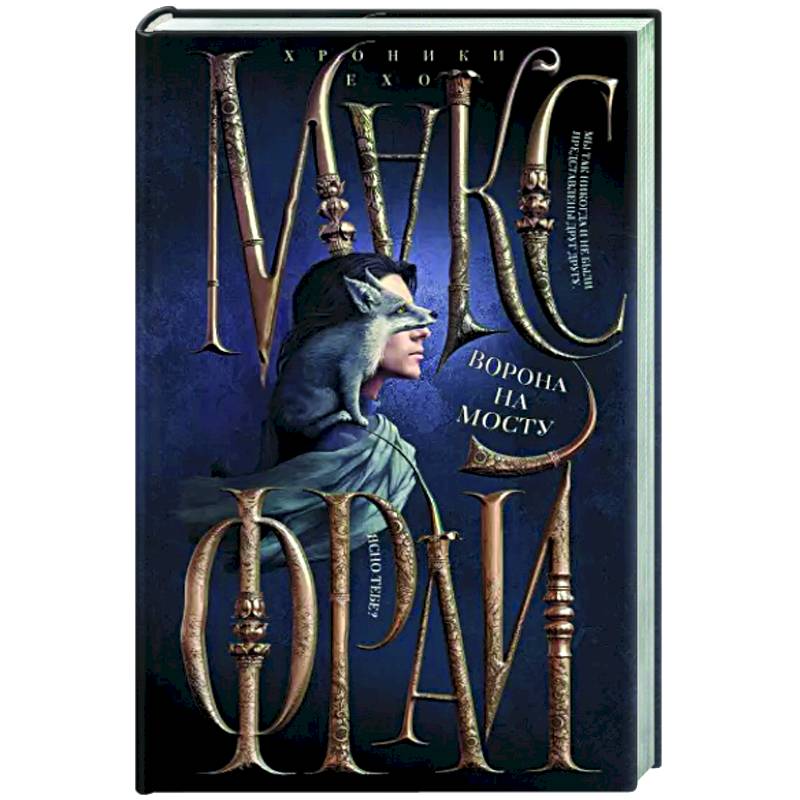 Фото Ворона на мосту