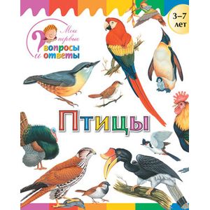 Фото Птицы