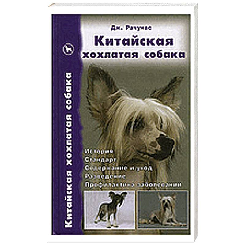 Фото Китайская хохлатая собака