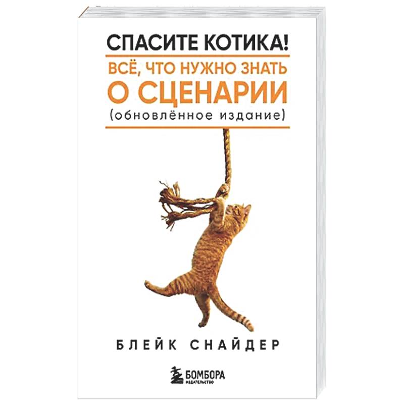 Фото Спасите котика! Все, что нужно знать о сценарии (обновленное издание)