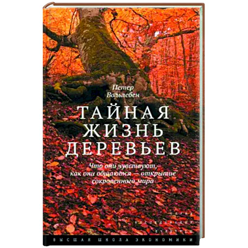 Фото Тайная жизнь деревьев. Что они чувствуют, как они общаются — открытие сокровенного мира