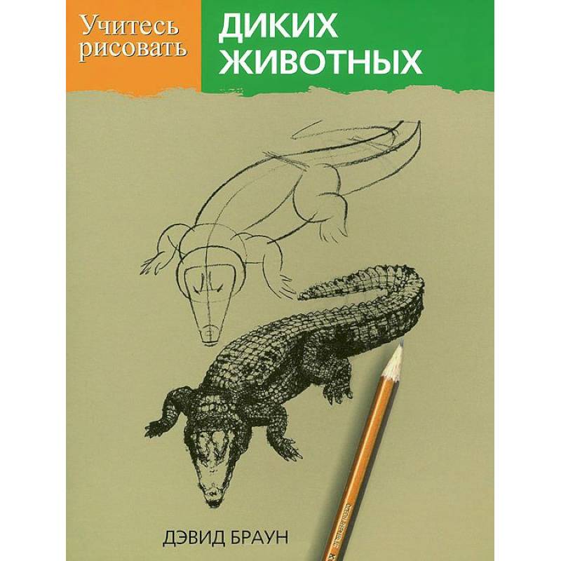 Фото Учитесь рисовать диких животных