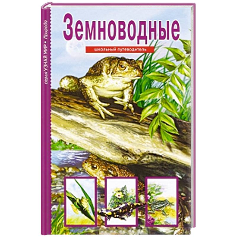 Фото Земноводные. Школьный путеводитель