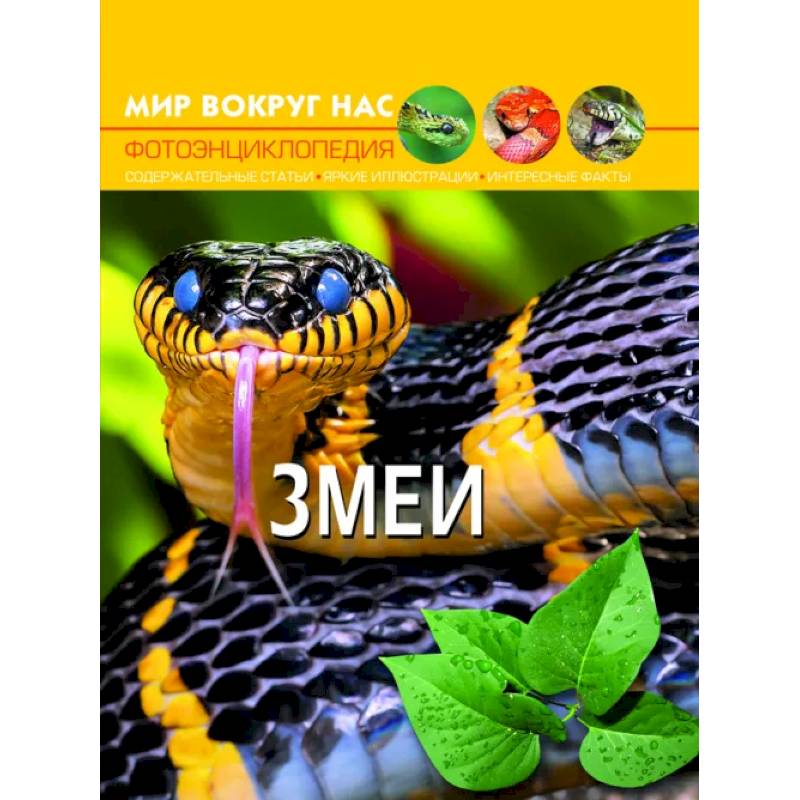Фото Мир вокруг нас. Змеи. Фотоэнциклопедия