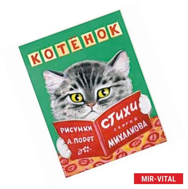 Фото Котенок