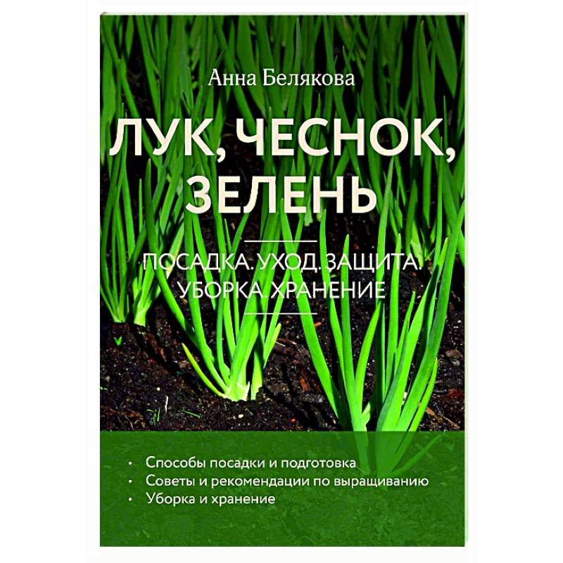 Фото Лук, чеснок, зелень. Посадка. Уход. Защита. Уборка. Хранение
