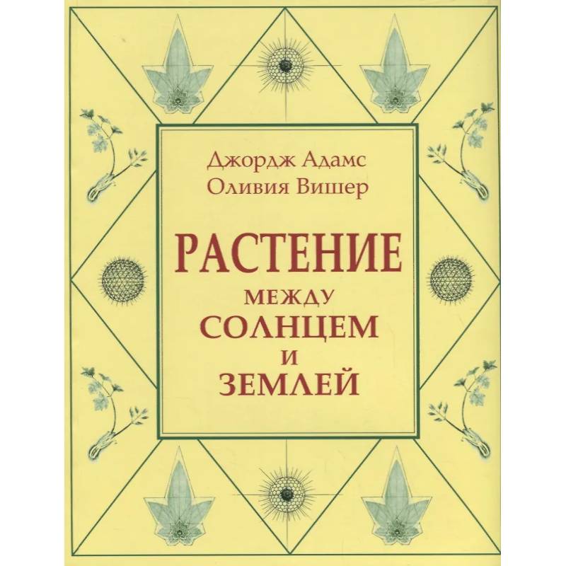 Изображение Растение между солнцем и землей: учение о физическом и эфирном пространстве Фото Растение между солнцем и землей: учение о физическом и эфирном пространстве
