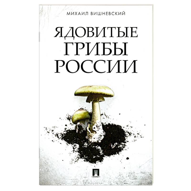Изображение Ядовитые грибы России Фото Ядовитые грибы России